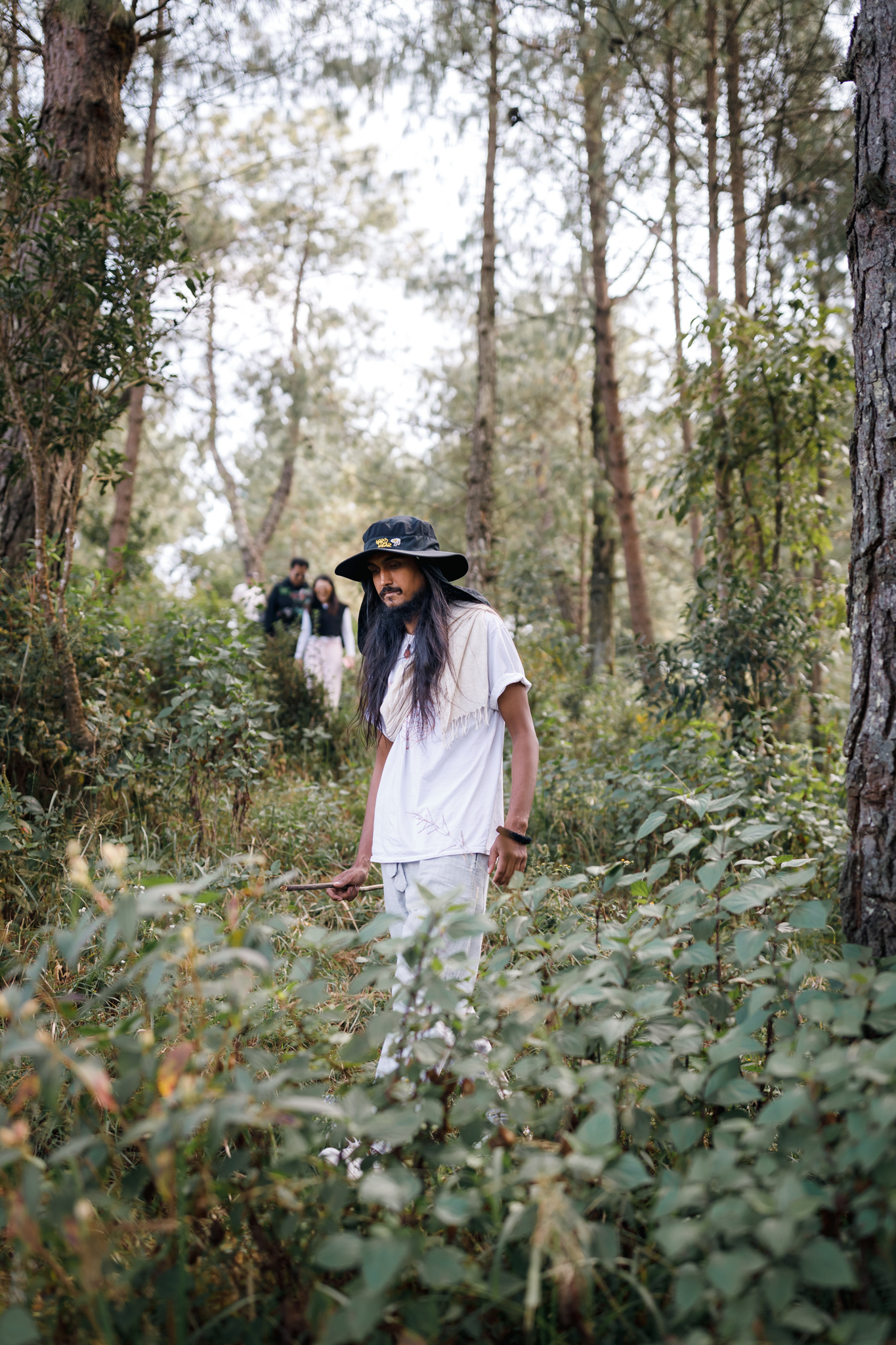 Solo journey through lush forest on mountain trail